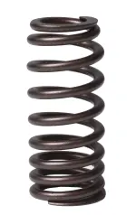 ERV1631 - : Engine Valve Spring for Enginetech Image
