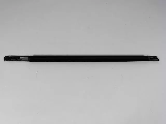 Front Door Belt Weatherstrip, Left - Mopar (4805807AE)