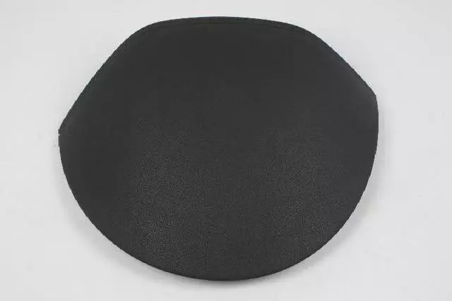 Cluster Lid - Mopar (1XR79DX9AA)