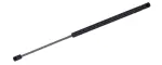 612376 - : Liftgate Lift Support for Tuff Support Image