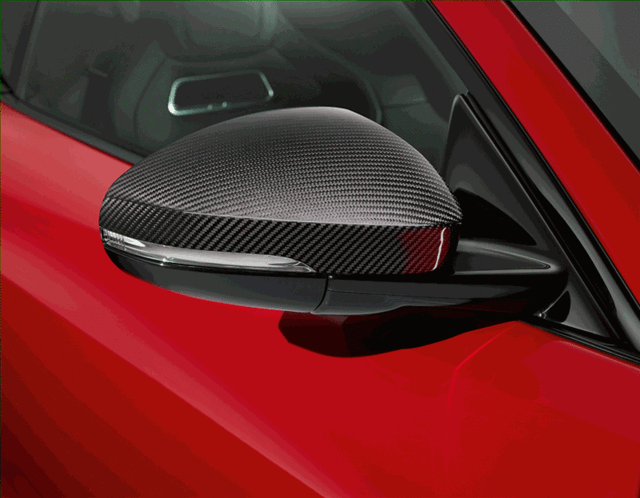 Mirror Cover, Silver Weave Carbon Fiber - Jaguar (T2R25195)