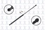 84220 - : Tailgate Lift Support for Focus Auto Parts Image