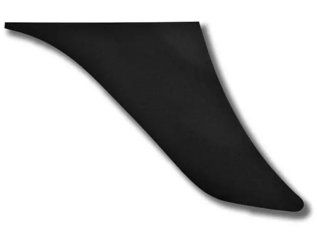 93055932200 - : Stone Guard for Porsche: 911 Image