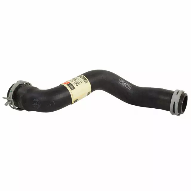 Lower Hose - Ford (CV6Z-8286-AA)