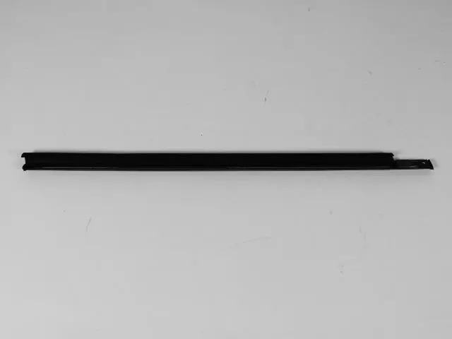 Front Door Belt Weatherstrip, Left - Mopar (04806139AB)