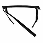 FT4Z5825767L - : Run Channel for Ford: Edge Image