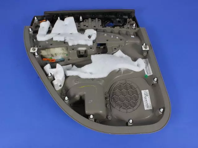 Rear Door Trim Panel, Right - Mopar (1GG461D3AL)