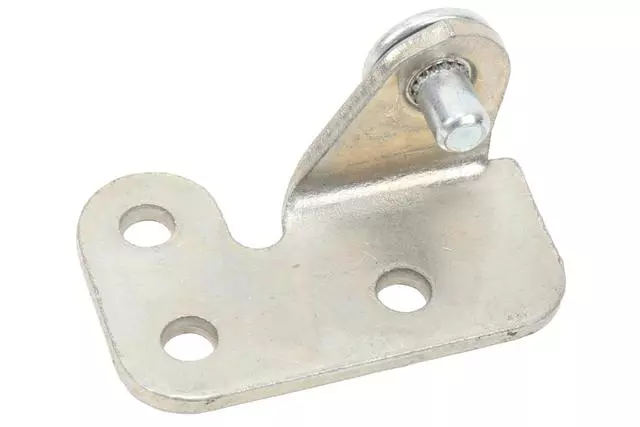 Driver Side Rear Door Check Pin - GM (15729841)