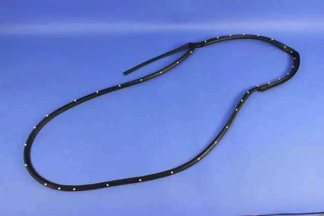 Rear Door Opening Weatherstrip, Left - Mopar (55399215AG)