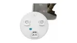 7702406040 - Fuel System: Plate for Toyota Image