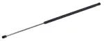 610791 - : Liftgate Lift Support for Tuff Support Image