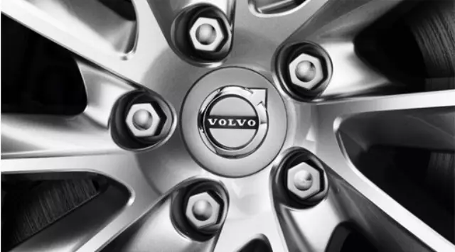 31664349 - : Plastic Caps For Locking Wheel Bolts - Silver for Volvo: V90, V90 Cross Country Image