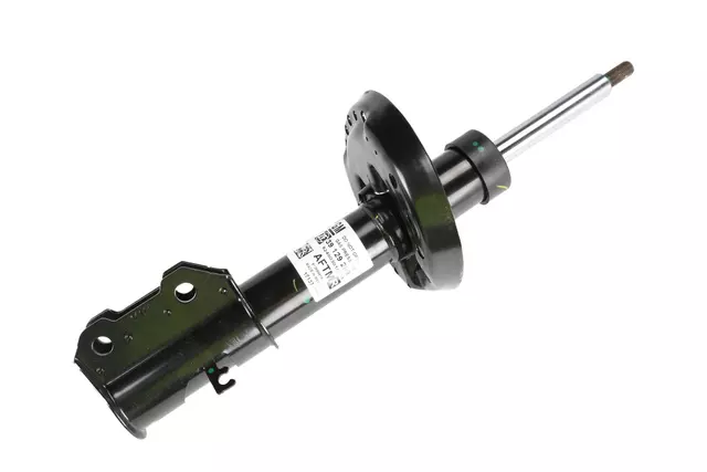Strut - GM (39129289)