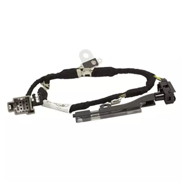 Socket And Wire Assembly Lamp - Ford (JL3Z-14A318-AL)