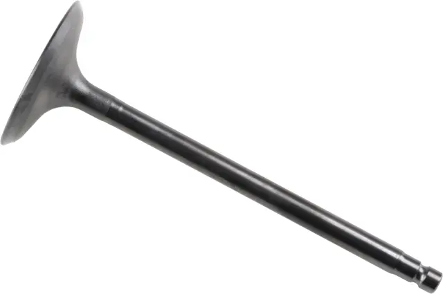 132016KA0B - : Intake Valve for INFINITI: QX60 Image