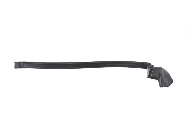 Belt Weather-Strip - Mopar (68096406AD)