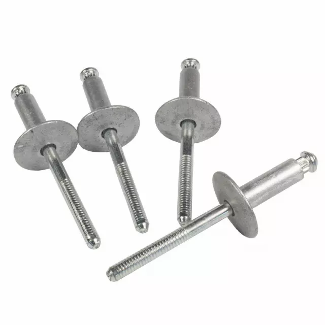 Splash Shield Rivet - Ford (W701950-S901)