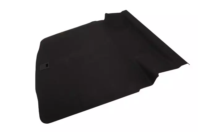 39067888 - Body: Floor Mat for Buick: Regal Image