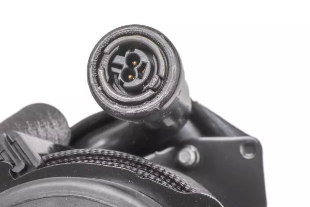 Black Passenger Seat Belt with Pre-Tensioner - GM (19370135)