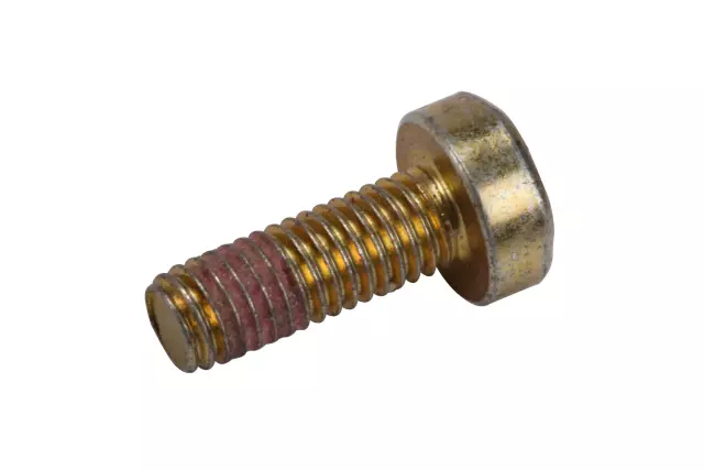 F (S)Bolt - GM (24299360)