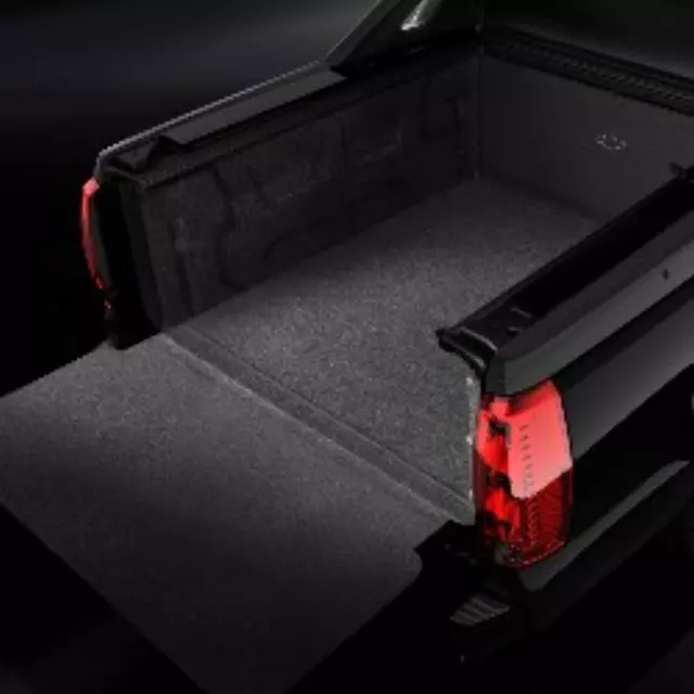 Bed Compartment Rug - GM (17800589)