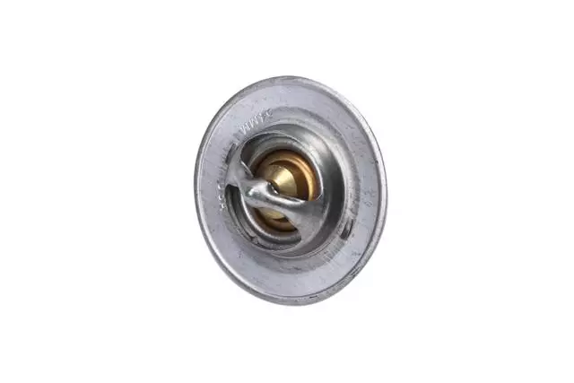 10202456 - : F (S)Thermostat for GM Image