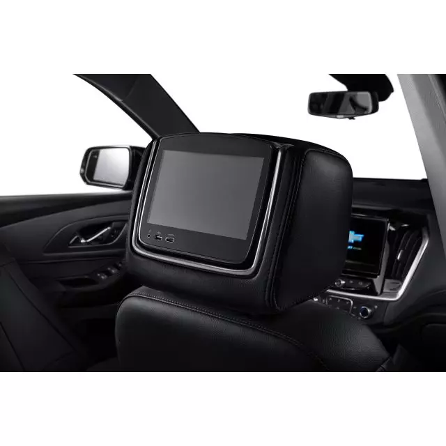 Headrest and Video Screen Assembly - GM (84579603)