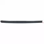 5C3Z2625532AAN - Body: Body Side Molding for Ford: F-250 Super Duty, F-350 Super Duty, F-450 Super Duty, F-550 Super Duty Image