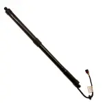 TSG367106 - : TRW X-TEND POWERED LIFT SUPPORT for TRW Image