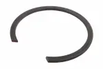 24295056 - : F Ring for GM Image