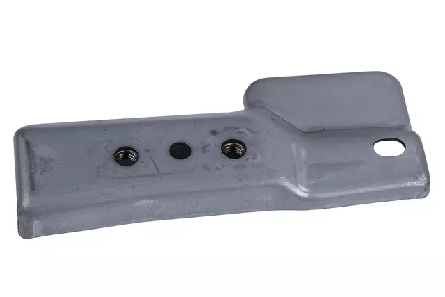 F Hinge - GM (98031264)