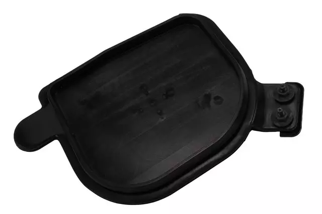 Body Side Frame Access Hole Plug - GM (84894325)