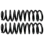 81746 - : Front Coil Spring Set for Moog Image