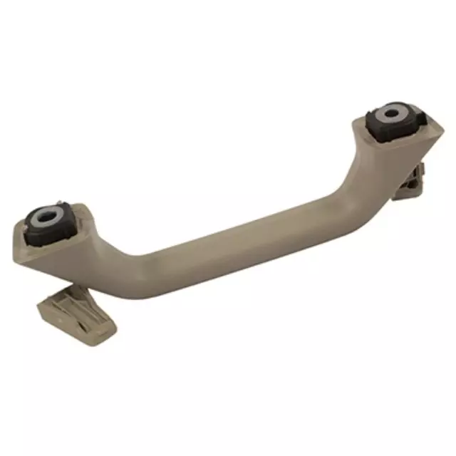 Interior Grab Bar - Ford (FL3Z-1631406-AE)