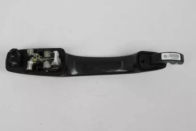 Sliding Door Exterior Handle - Mopar (1NA50TZZAD)