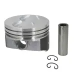 H597DCP - : Engine Piston Set for SEALED POWER Image
