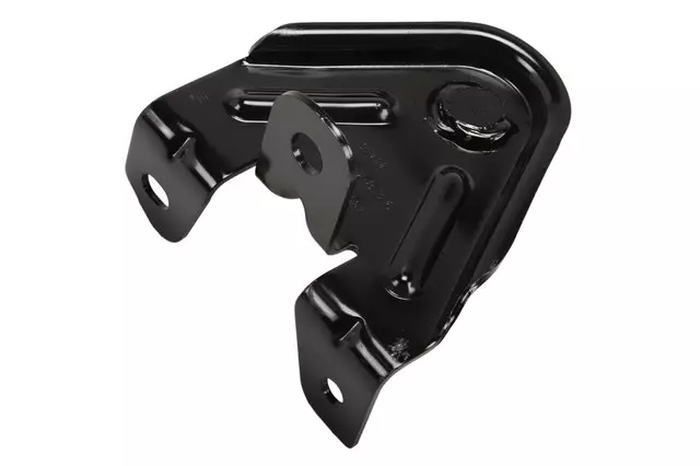 13315779 - Body: Hinge for GM Image