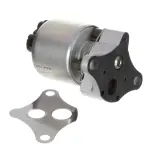 EG10170 - : EGR Valve for DELPHI Image