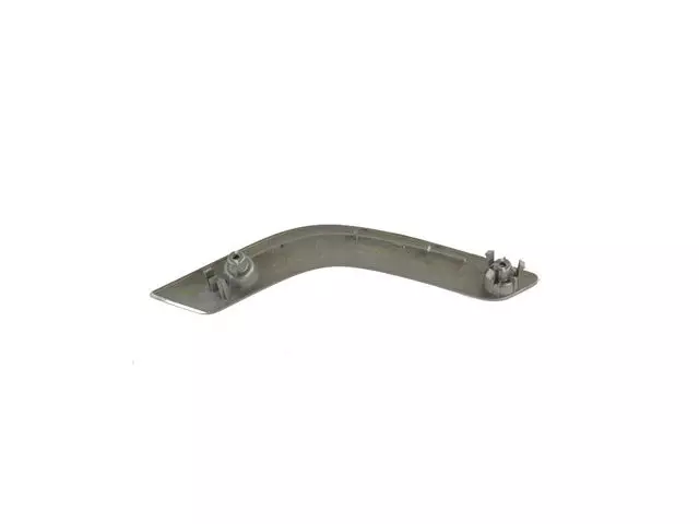 Grab Handle Bezel, Left - Mopar (6GH091D4AA)