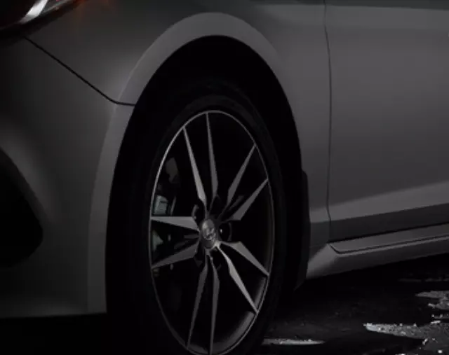 C2067ADU01 - Exterior: Puddle Lighting for Hyundai Image