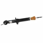ASH24720 - : Shock Absorber Assembly for Ford: F-150 Image