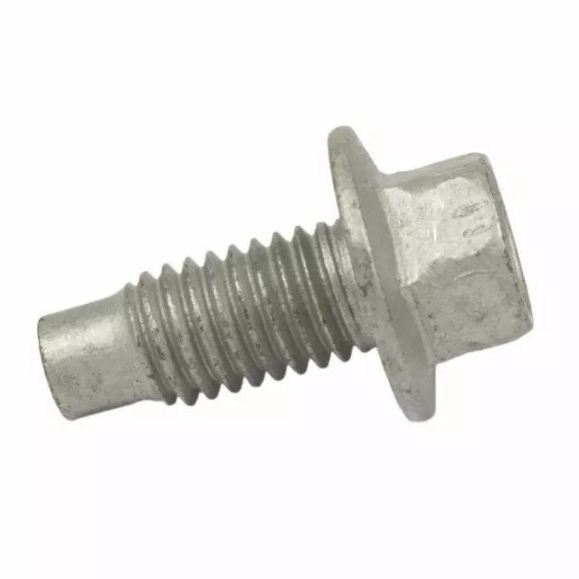 W500221S442 - : 2018-2021 Ford EcoSport - Heat Shield Screw for Ford: EcoSport Image