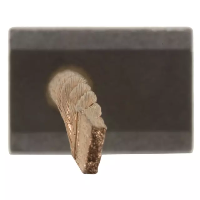 88921143 - : Brush, Strtr for GM Image