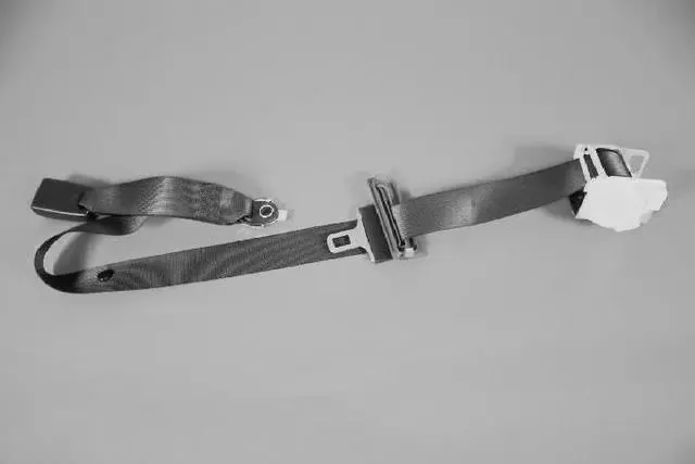 Rear Inner Seat Belt - Mopar (1BY501DVAD)