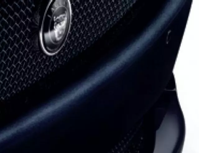 C2P9190 - Exterior: Mesh Grille Upper - Chrome for Jaguar Image