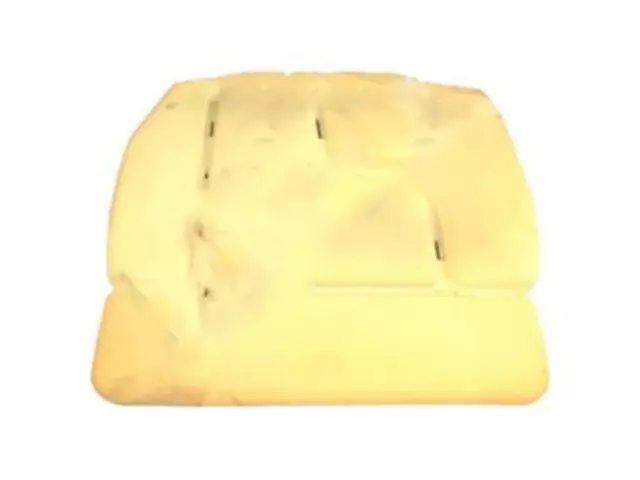 Seat Cushion Pad - Ford (5L3Z-18632A23-AA)
