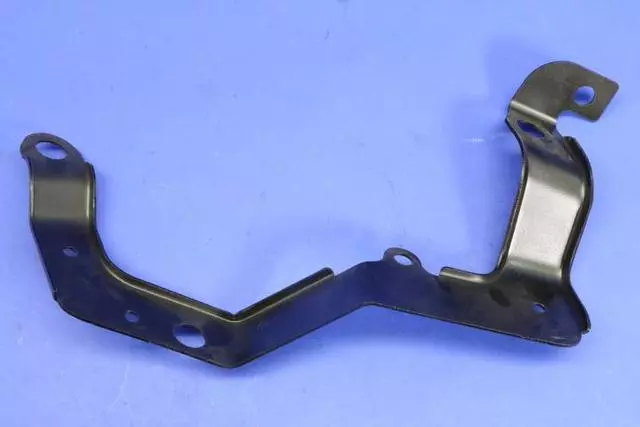 Tail Lamp Bracket, Left - Mopar (5029121AA)