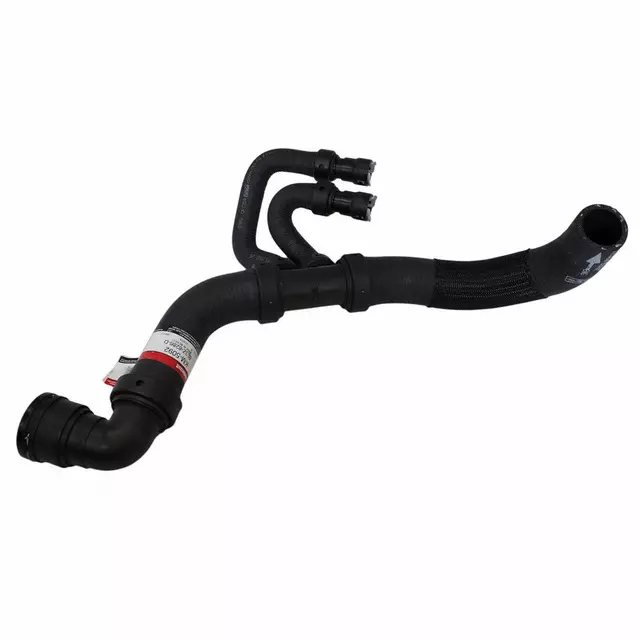 BL3Z8286D - : Lower Hose for Ford: F-150 Image