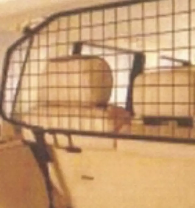 LR007320 - : Dog Guard for Land-Rover Image