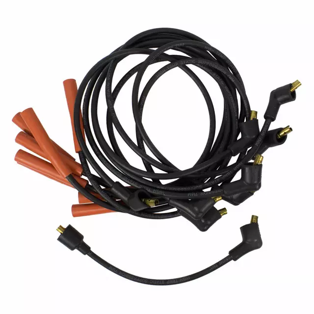 Spark Plug Wire Set - Motorcraft (WR3866BR)